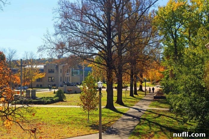 Vibrant fall leaves adorning the College of the Ozarks campus, showcasing the beauty of the Missouri Ozarks.