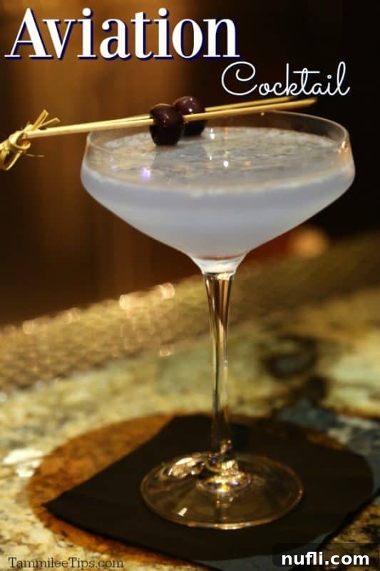 Aviation cocktail over a martini glass with a purple cocktail and garnish, presenting an elegant and classic look.