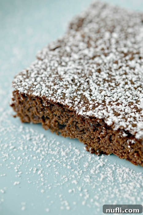 Chocolate brownie square dusted in powdered sugar on a light blue plate