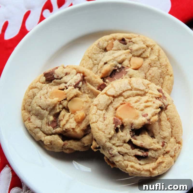Easy Macadamia Nut Cookies on a white plate