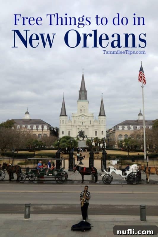 Jackson Square and Horse drawn carriages against a backdrop of historic buildings in New Orleans