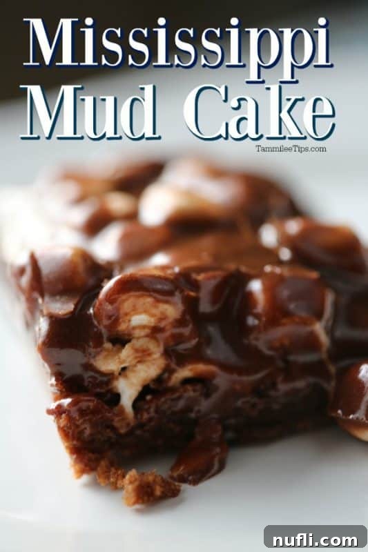 Decadent Mississippi Mud Cake 2 A delectable slice of Mississippi Mud Cake with a rich chocolate topping and fluffy marshmallows, served on a white plate.