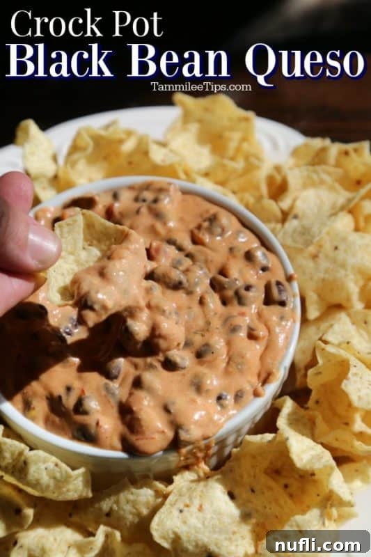 Crockpot Black Bean Queso over a hand pulling a chip out of queso in a white bowl