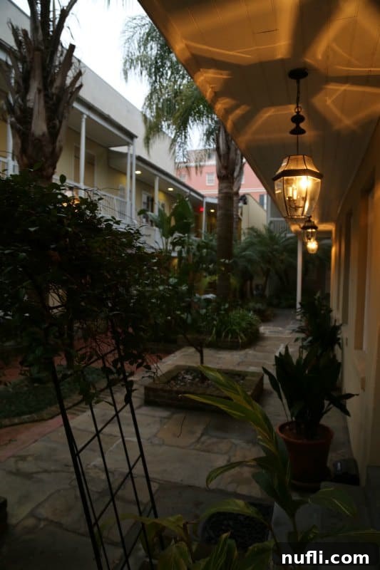 Dauphine Orleans Hotel New Orleans 5 Walkway through a courtyard with lamps and tropical flowers