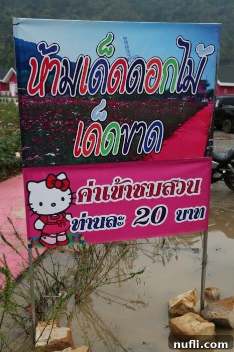 Sign in Thai with a Hello Kitty illustration welcoming visitors