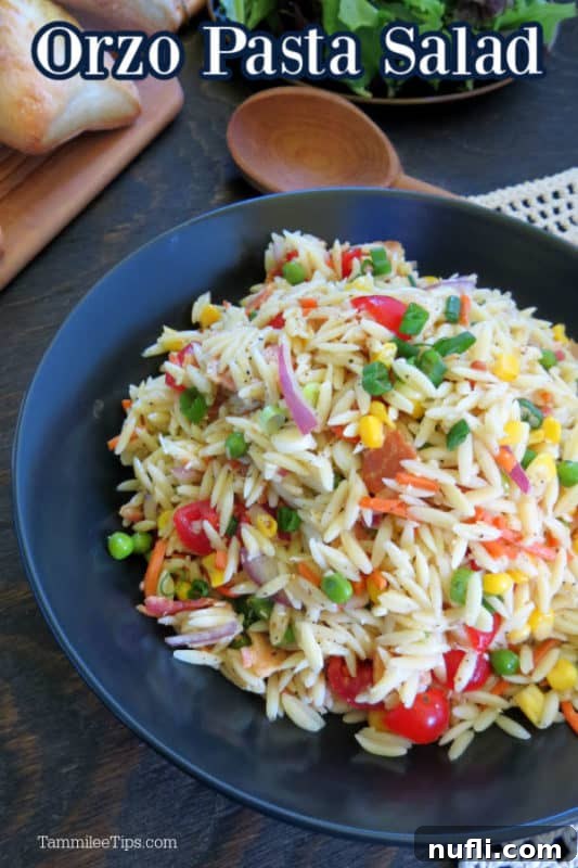 Orzo Pasta Salad text over a blue bowl filled with orzo salad and a wooden spoon