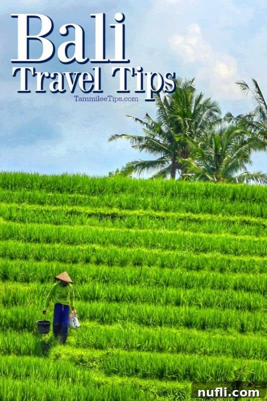 Navigate Bali Like a Local 2 Bali Travel Tips: Person walking through lush green rice fields at sunset, embodying the serene beauty of the island.