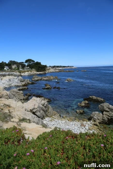 looking over a rocky beach to the water
