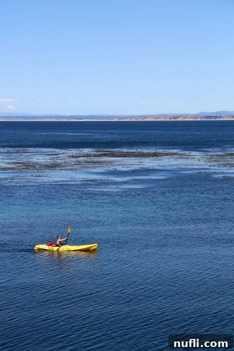 Kayaker in the bay with mountains in the distance on a sunny day 
