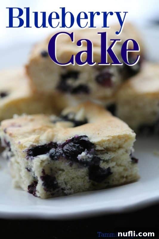 Ultimate Blueberry Cake 2 A beautifully baked square of golden-brown blueberry cake, showcasing the tender crumb and baked blueberries, resting on a crisp white plate.