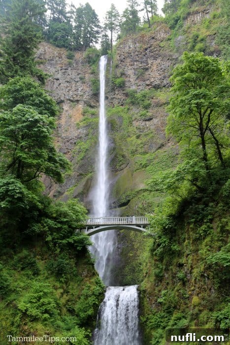 Multnomah falls with bridge in the middle