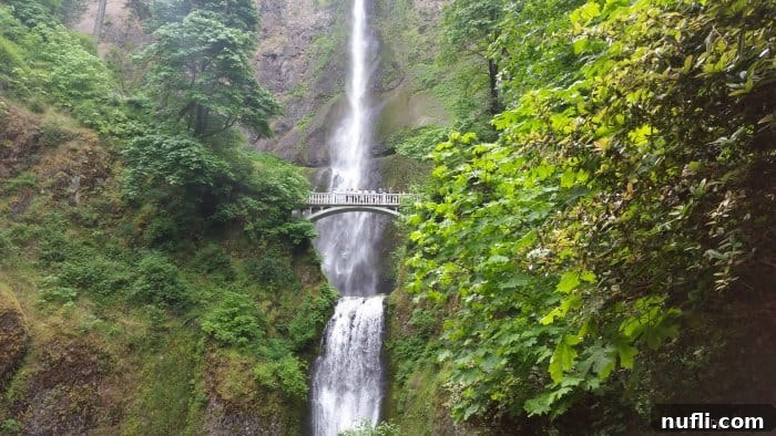 Waterfall Splendor and Hood River Orchard Delights 3 Multnomah Falls with greenery around it