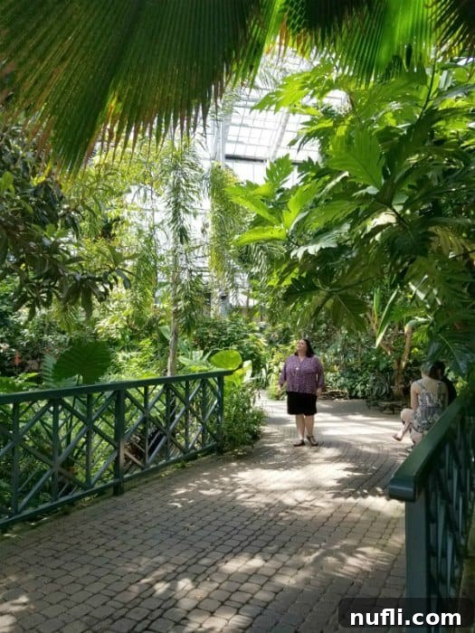 Meijer Gardens Grand Rapids Art and Nature Escape 5 Person walking across a rustic wooden bridge over a small stream, surrounded by trees and lush greenery.