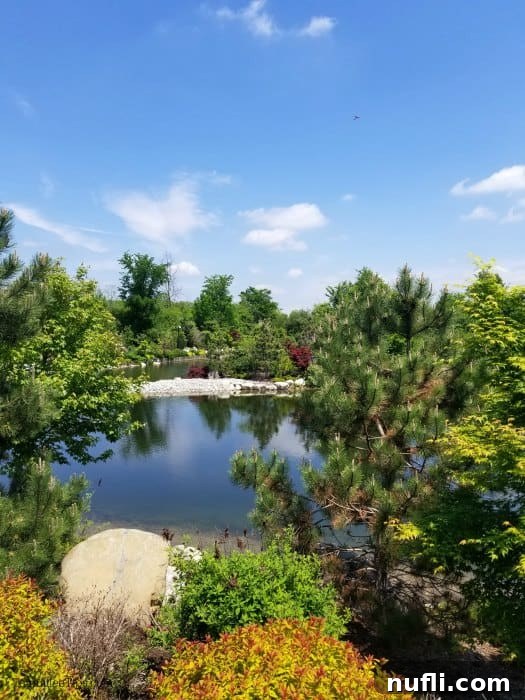 Meijer Gardens Grand Rapids Art and Nature Escape 9 Peaceful Japanese garden with a meticulously maintained pond, stepping stones, lush trees, and traditional lanterns under a sunny sky.