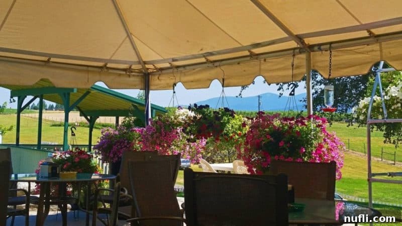 Spokane's Ultimate Outdoor Dining Destinations 8 outdoor seating uner a tent with flower baskets