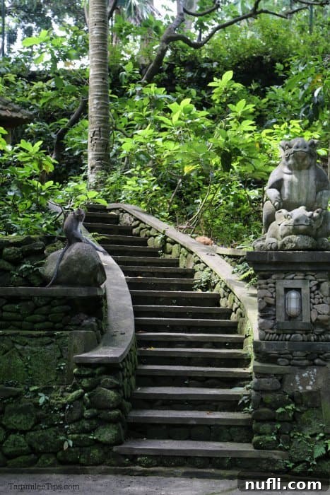 Sculpted stairs leading past a monkey sculpture in the verdant Ubud Monkey Forest, Bali