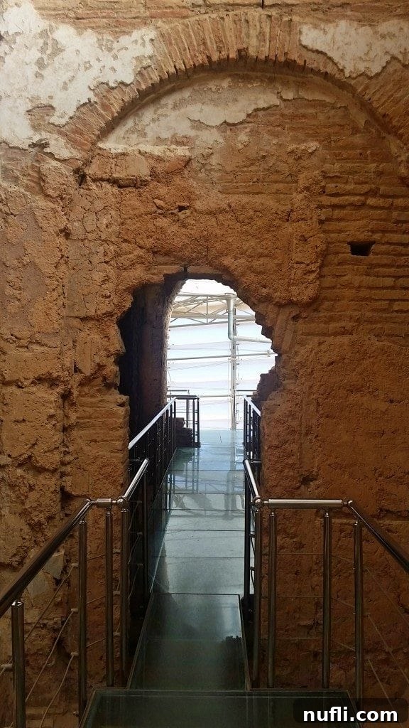Glass walkways allowing visitors to view the archaeological site below within the Terracotta Houses.
