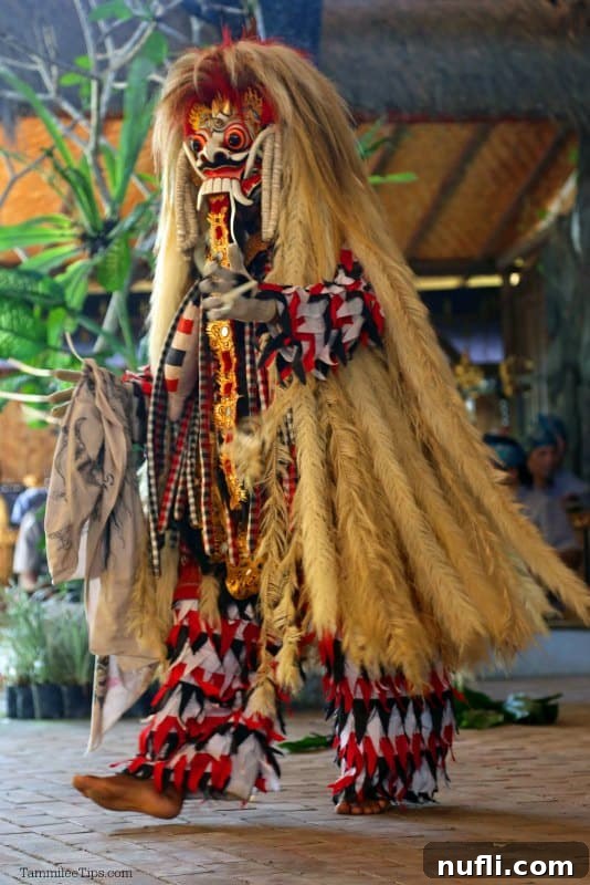Bali's Spiritual Drama: Barong and Kris in Ubud 5 A Balinese dancer in full traditional costume, featuring a long, feathery hairpiece and intricate details.