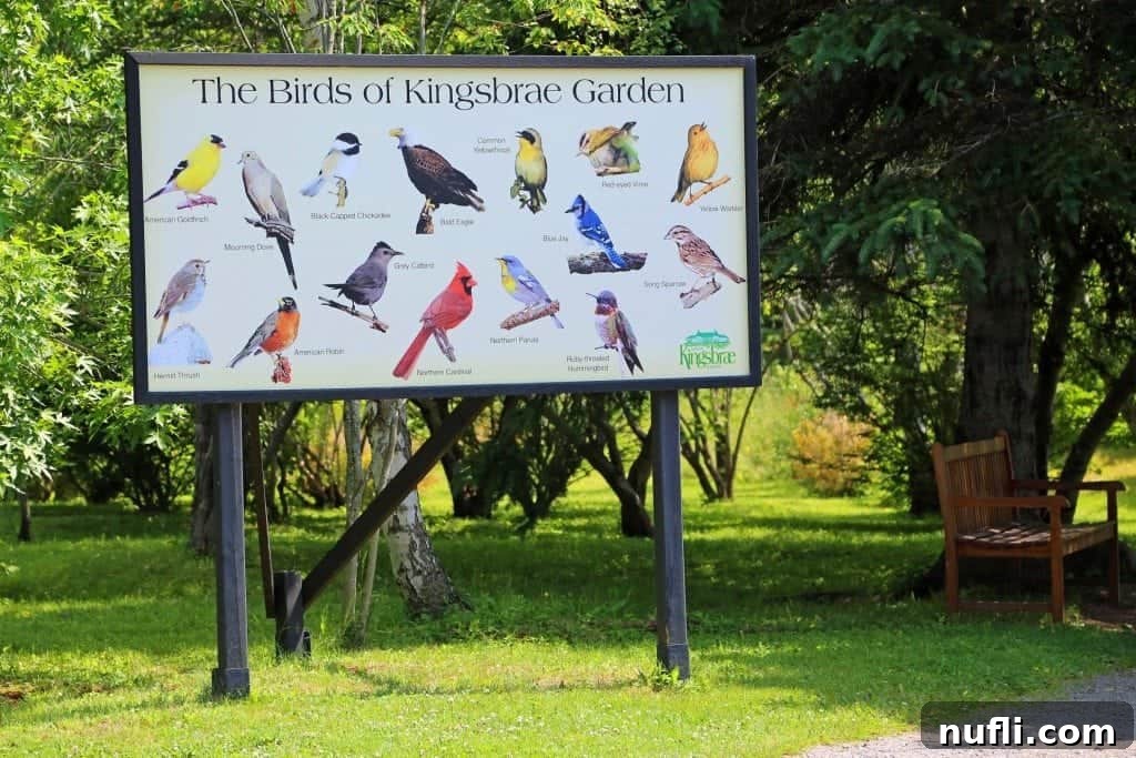 Birds of Kingsbrae Gardens