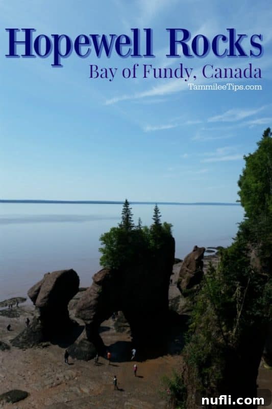 Hopewell Rocks Bay of Fundy overlooking the iconic flowerpot rocks at low tide, showcasing the vast exposed ocean floor.