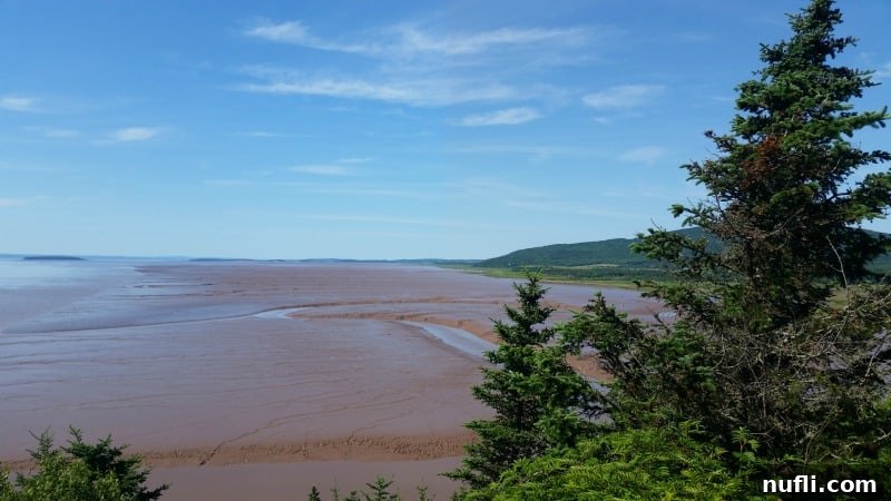 Expansive view of the Hopewell Rocks area at low tide, showing vast muddy flats extending towards the distant water and surrounding treeline.
