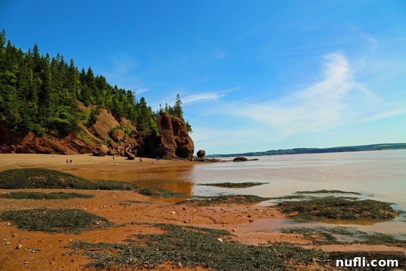 Stunning view of Hopewell Rocks at low tide, featuring iconic rock formations with lush green trees on top, against a backdrop of the distant Bay of Fundy.