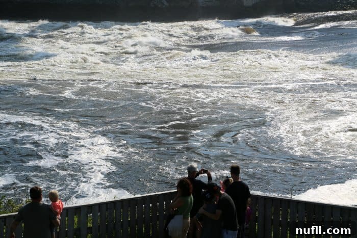 People observing the fascinating Reversing Rapids phenomenon from an elevated viewing platform.