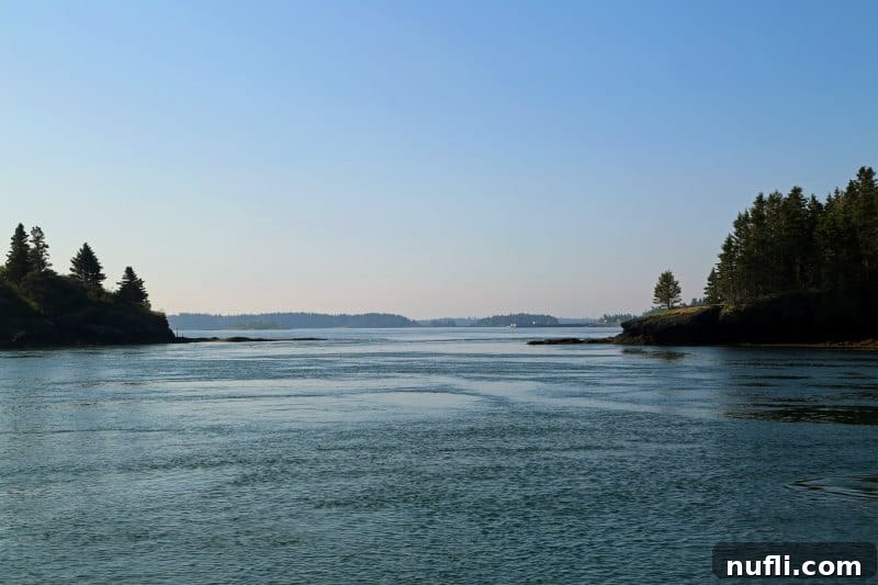 Scenic view across the calm Bay of Fundy waters with wooded shores