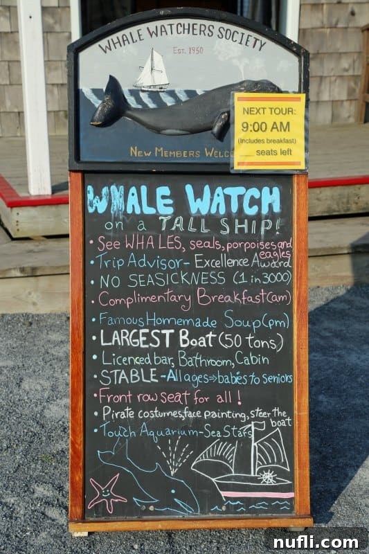 Whale Watch sign welcoming visitors to the St. Andrews by-the-Sea experience